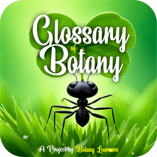 1-glossariy