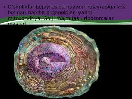 2-ma’ruzaning integrativ topshiriqlari