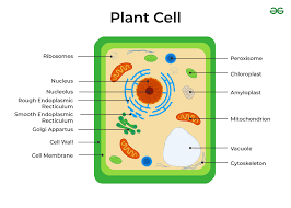 Integrativ topshiriqlar