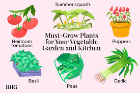 Steam of plants