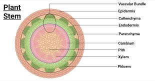9- glossariy